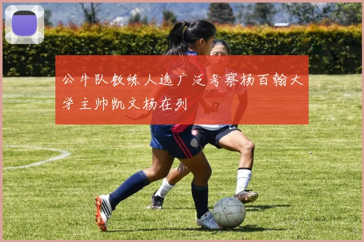公牛队教练人选广泛考察杨百翰大学主帅凯文杨在列