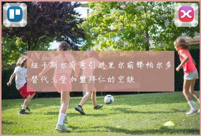 纽卡斯尔有意引进里尔前锋帕尔多替代戈登加盟拜仁的空缺